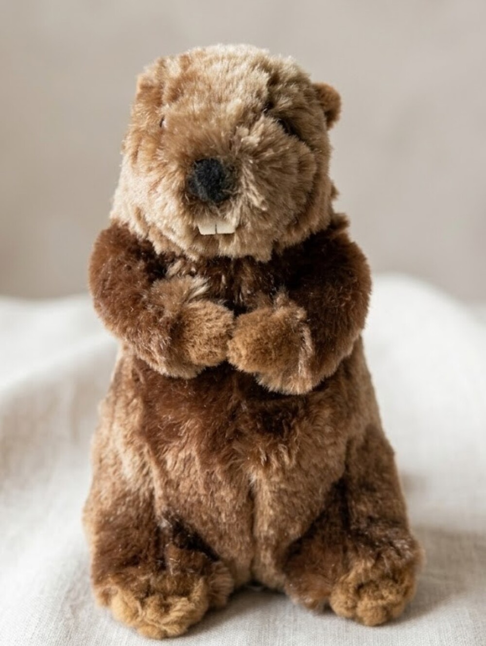 Douglas Buddy Beaver Plush